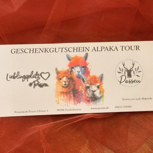 Alpaka Gutschein 25 €